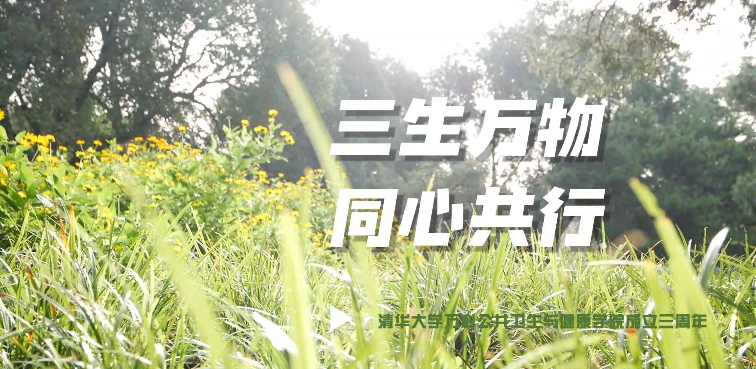 51论坛
成立三周年